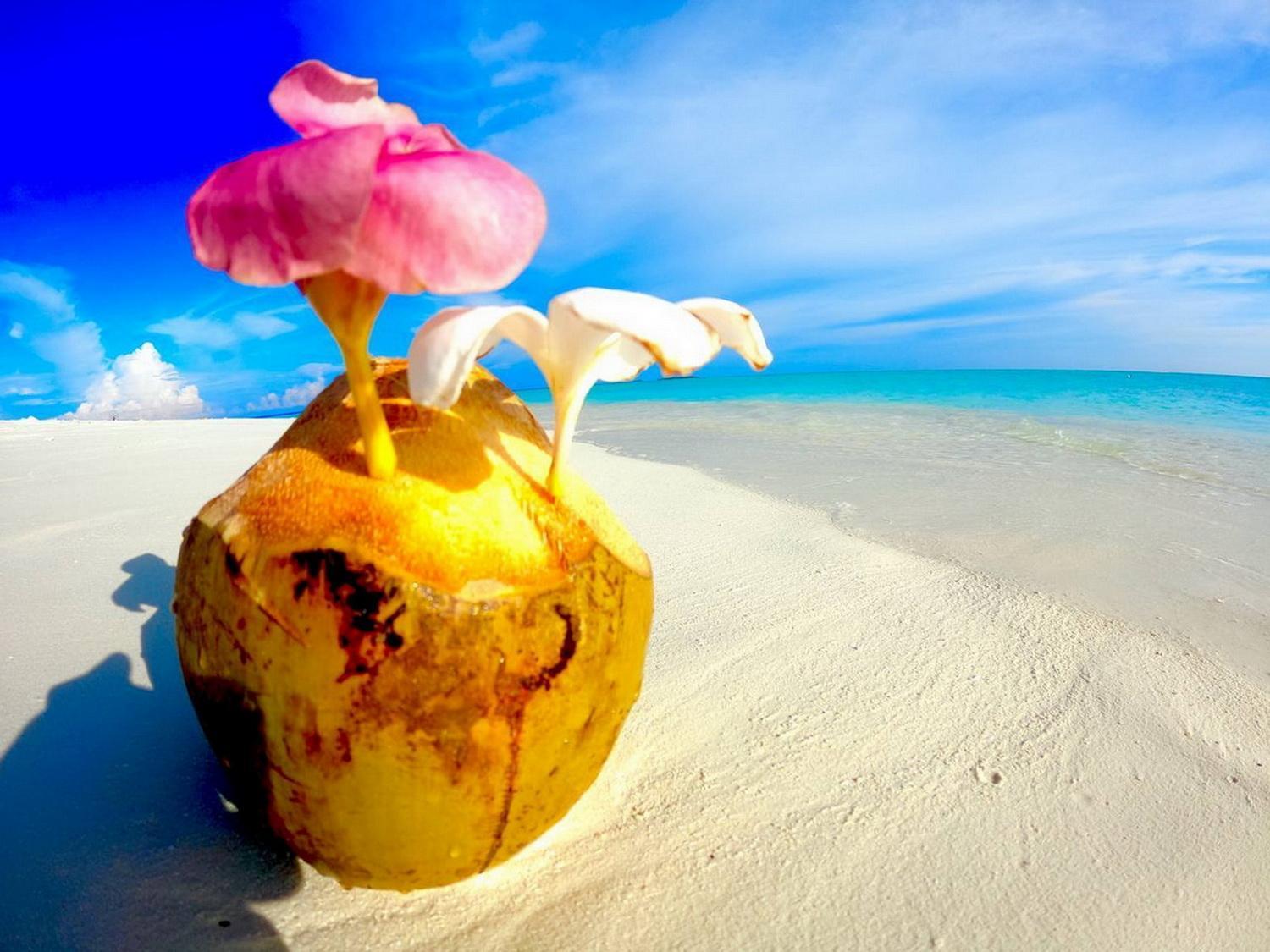Wind Breeze Sunset View Inn Guraidhoo  Εξωτερικό φωτογραφία