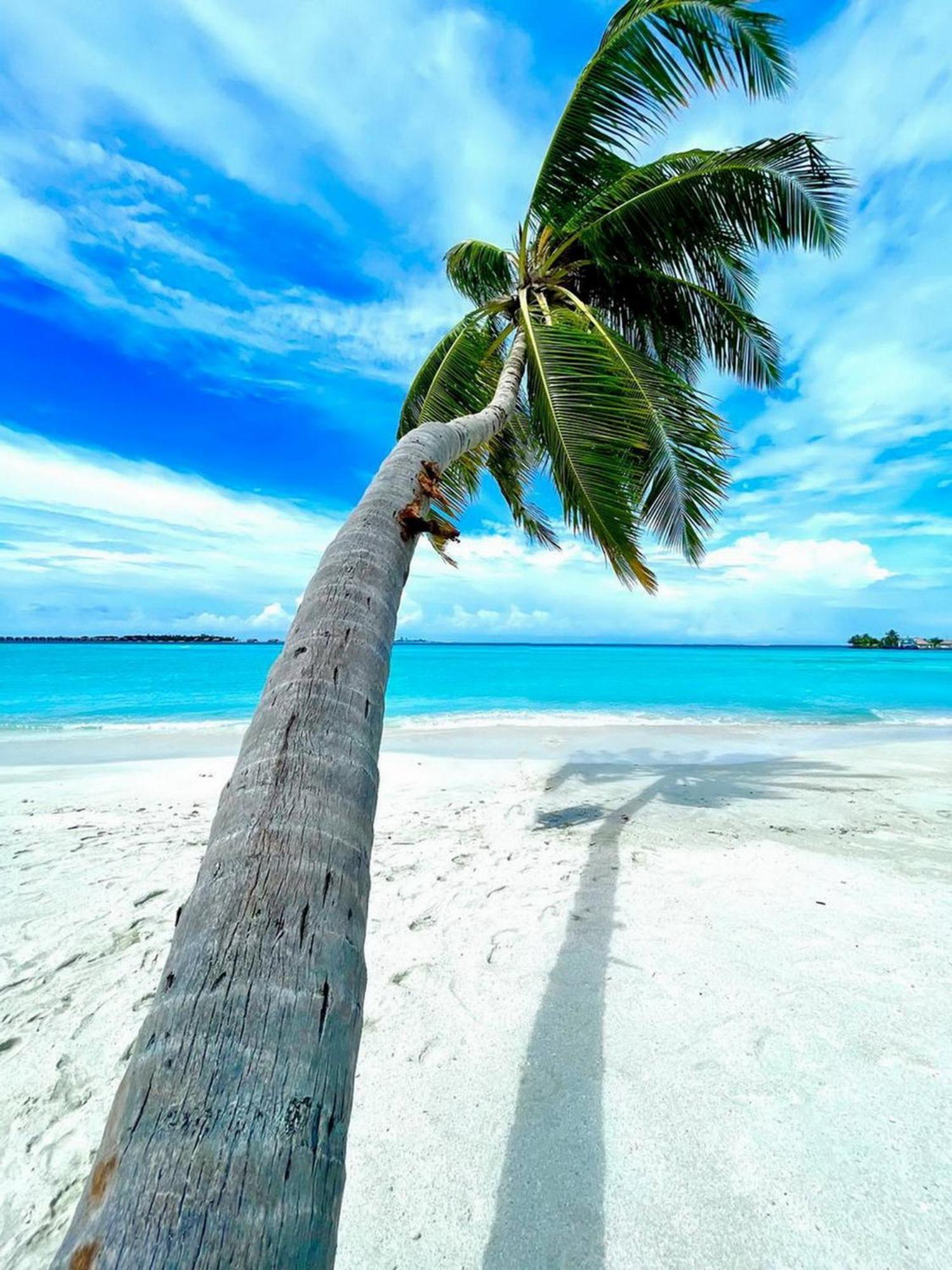 Wind Breeze Sunset View Inn Guraidhoo  Εξωτερικό φωτογραφία